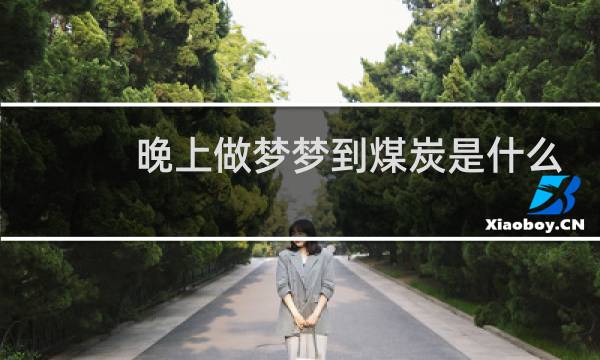 晚上做梦梦到煤炭是什么意思图片