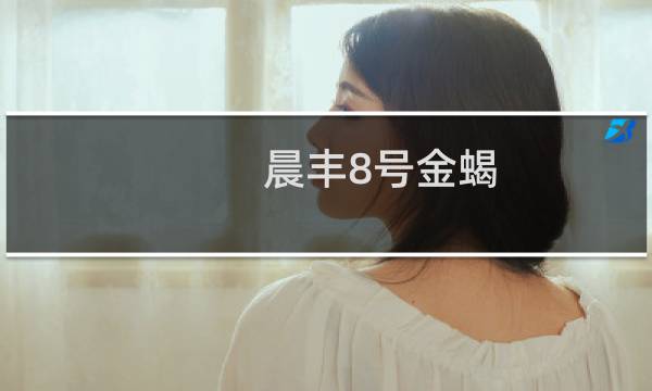 晨丰8号金蝎(关于晨丰8号金蝎的简介)