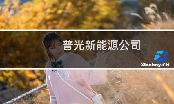 普光新能源公司（苹果x能用5g吗）图片