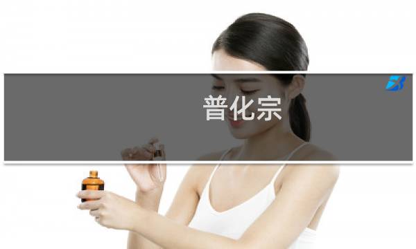 普化宗(关于普化宗的简介)