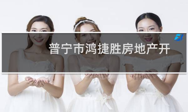 普宁市鸿捷胜房地产开发有限公司(关于普宁市鸿捷胜房地产开发有限公司的简介)图片