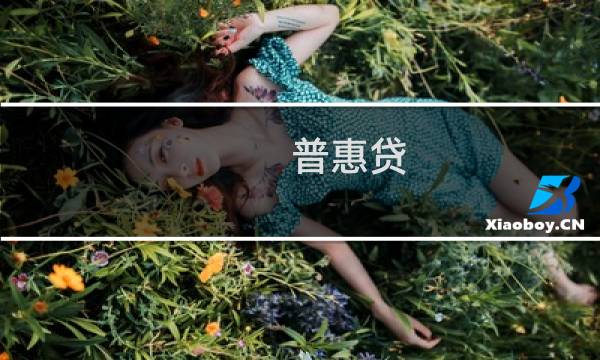 普惠贷图片