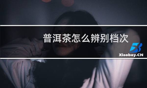 普洱茶怎么辨别档次