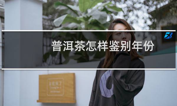 普洱茶怎样鉴别年份图片