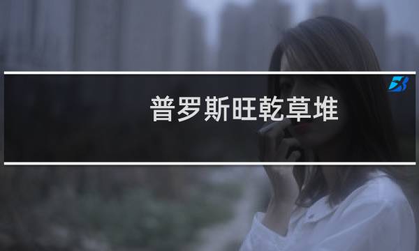 普罗斯旺乾草堆(关于普罗斯旺乾草堆的简介)