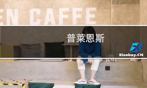 普莱恩斯(关于普莱恩斯的简介)图片