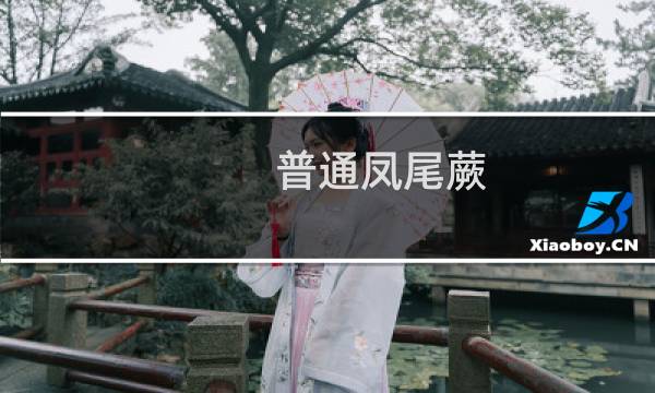 普通凤尾蕨 原变种(关于普通凤尾蕨 原变种的简介)