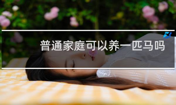 普通家庭可以养一匹马吗