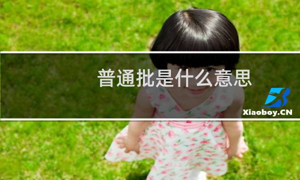 普通批是什么意思(ptp是什么意思)