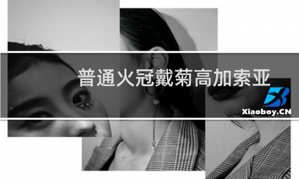 普通火冠戴菊高加索亚种(关于普通火冠戴菊高加索亚种的简介)图片