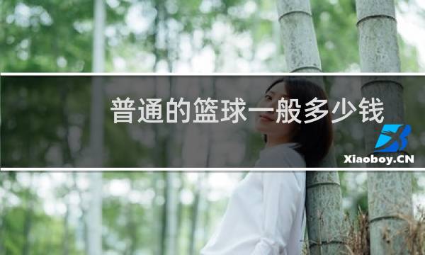 普通的篮球一般多少钱
