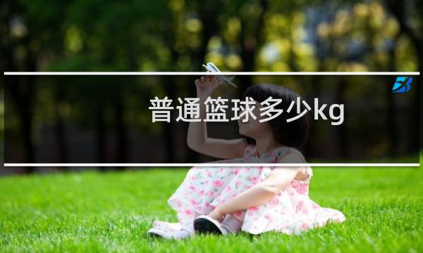 普通篮球多少kg