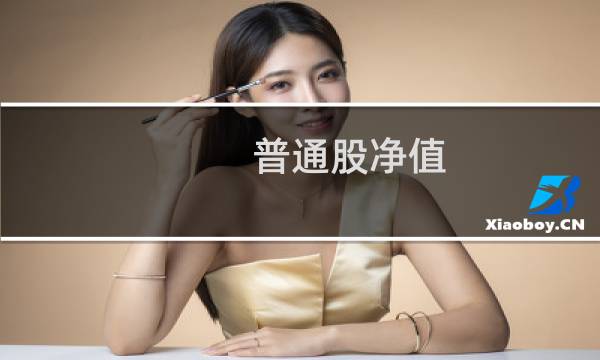 普通股净值(关于普通股净值的简介)图片
