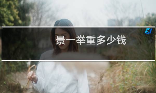 景一举重多少钱