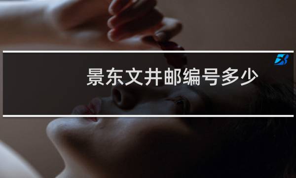 景东文井邮编号多少