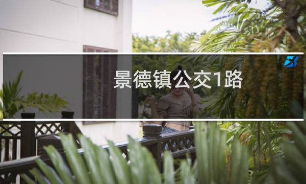 景德镇公交1路(关于景德镇公交1路的简介)