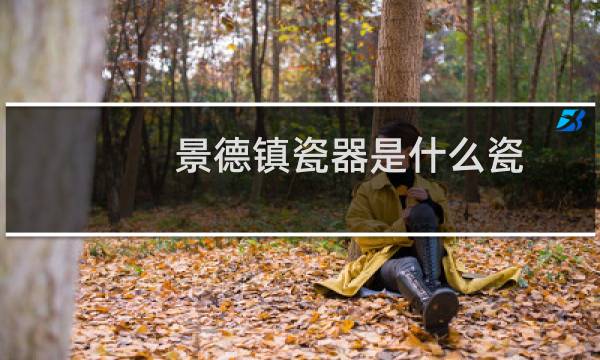 景德镇瓷器是什么瓷