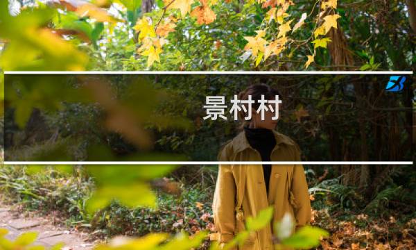 景村村(关于景村村的简介)图片