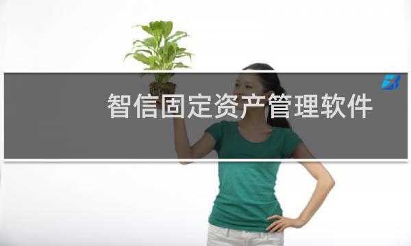 智信固定资产管理软件(关于智信固定资产管理软件的简介)图片