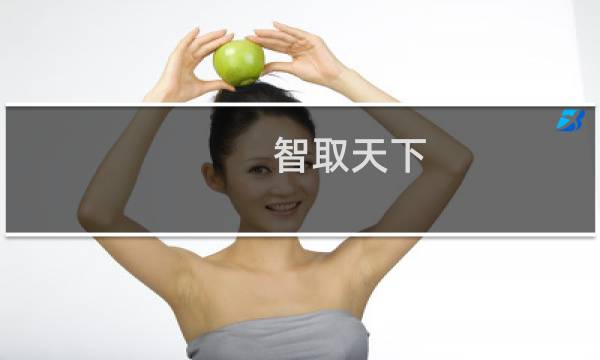 智取天下：朱元璋权智(关于智取天下：朱元璋权智的简介)