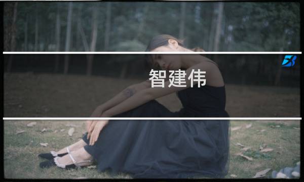 智建伟(关于智建伟的简介)图片