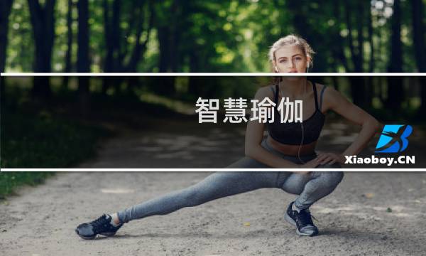 智慧瑜伽：商羯罗的《自我知识》 第三版(关于智慧瑜伽：商羯罗的《自我知识》 第三版的简介)图片