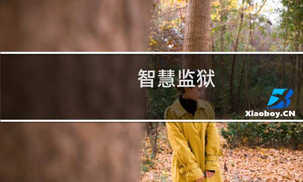 智慧监狱(关于智慧监狱的简介)