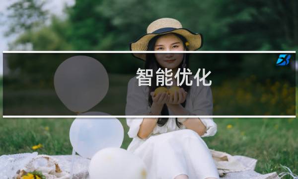 智能优化(关于智能优化的简介)