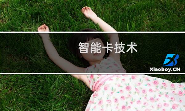 智能卡技术(关于智能卡技术的简介)图片