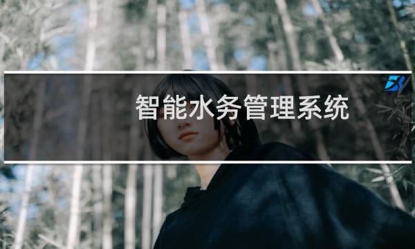 智能水务管理系统(关于智能水务管理系统的简介)图片