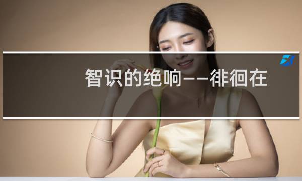 智识的绝响——徘徊在空间、时间与创造之间(关于智识的绝响——徘徊在空间、时间与创造之间的简介)图片