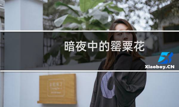 暗夜中的罂粟花（我是暗夜中的罂粟）图片