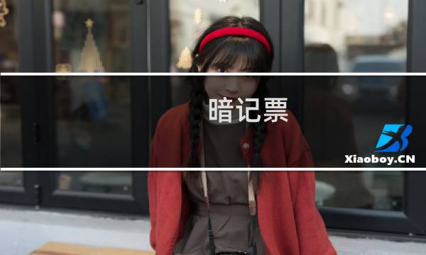 暗记票(关于暗记票的简介)