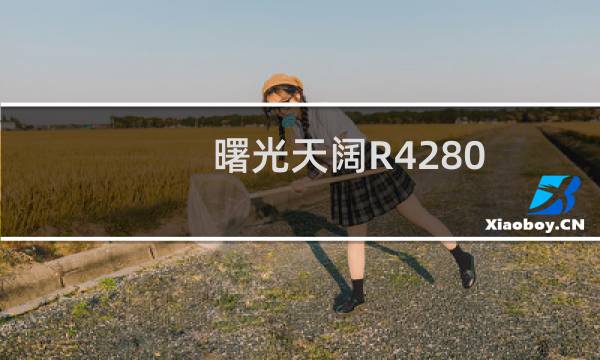 曙光天阔R4280-A2(关于曙光天阔R4280-A2的简介)