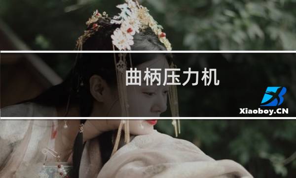 曲柄压力机图片