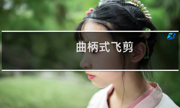 曲柄式飞剪(关于曲柄式飞剪的简介)图片
