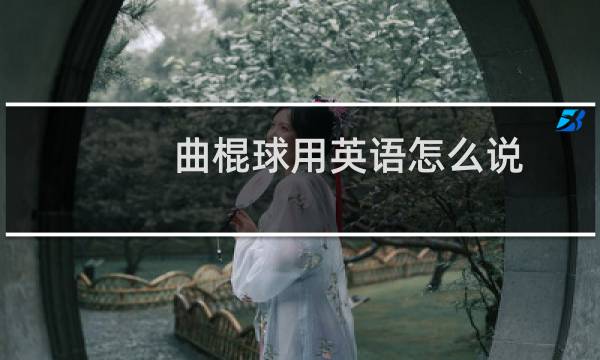 曲棍球用英语怎么说