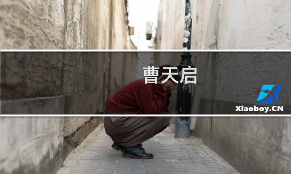 曹天启(关于曹天启的简介)图片