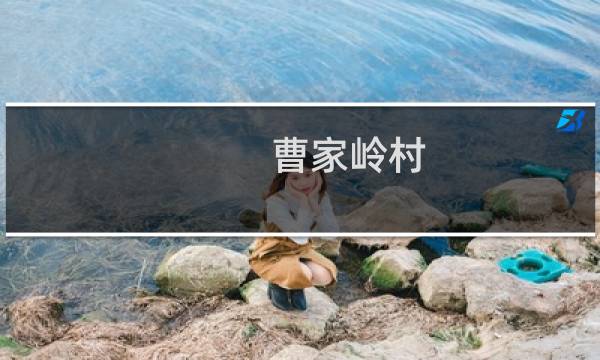 曹家岭村(关于曹家岭村的简介)