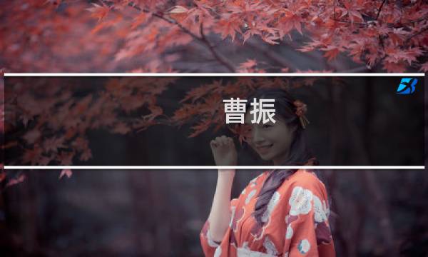 曹振(关于曹振的简介)图片