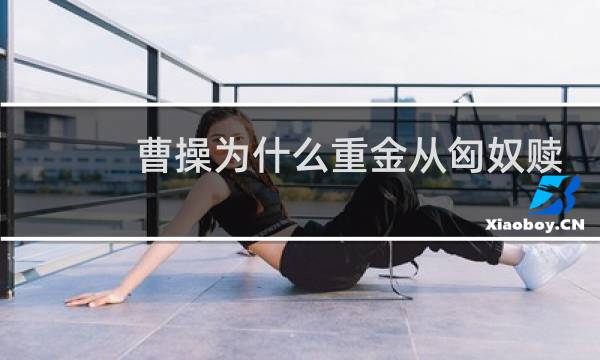 曹操为什么重金从匈奴赎回大才女蔡文姬？