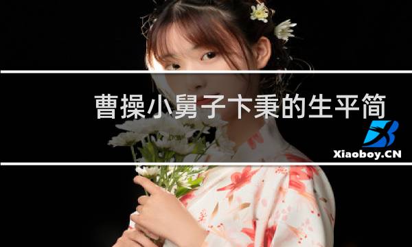 曹操小舅子卞秉的生平简介,卞秉是个怎样的人?