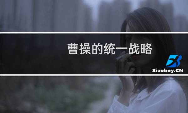 曹操的统一战略:曹操为什么没能完成统一三国?