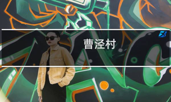 曹泾村(关于曹泾村的简介)