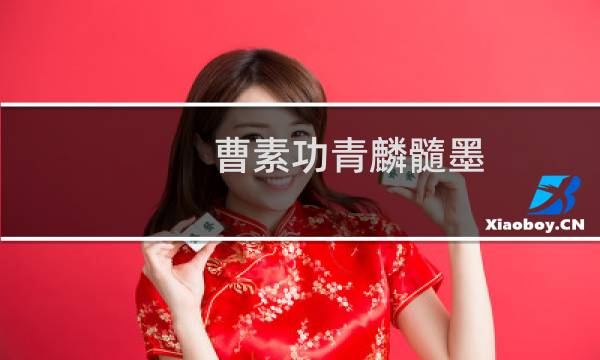 曹素功青麟髓墨(关于曹素功青麟髓墨的简介)