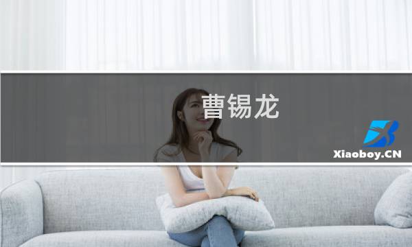 曹锡龙(关于曹锡龙的简介)