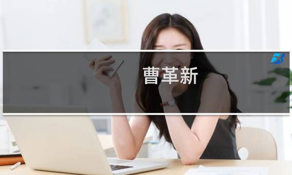 曹革新(关于曹革新的简介)