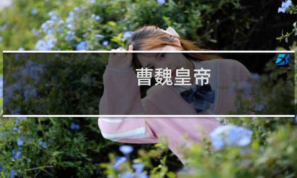 曹魏皇帝,曹魏的皇帝有哪几位?