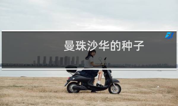 曼珠沙华的种子