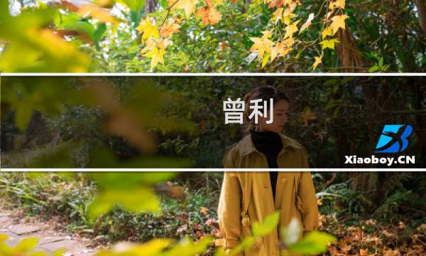 曾利(关于曾利的简介)图片